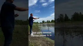 Чисто юмор ,утки живы #кормимуток @satachef5373Жаль нет ружья