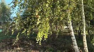 Участок в Шабаново