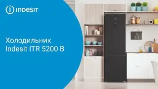 Холодильник Indesit ITR 5200 B - обзор модели