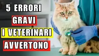 Il veterinario avverte - 5 ERRORI GRAVI da non fare
