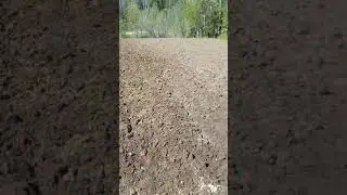 т - 25 пашем землю