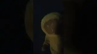 Música funk 