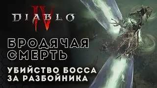 Diablo 4 gameplay. Убийство босса Бродячая смерть за разбойника