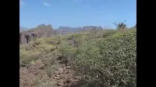 Каньон на Гран Канария