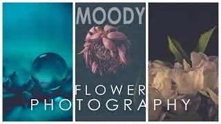 Moody flower photography