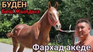 БУДЁН БЕШ ЖЫЛДЫЗ