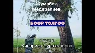 ЖУМАБЕК МЕДЕРАЛИЕВдин "БООР ТОЛГОО" аңгемеси