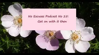 No Excuses Knitting and Crafting Podcast:  Episode 25 - Get On With It Then