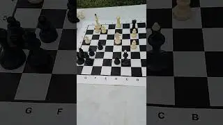 Задача 61. Уровень кадетский. 