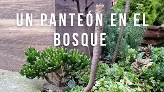 El mejor spot para un pulque 2da parte - encontramos un panteón en el bosque