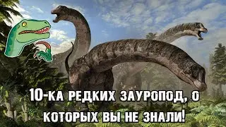 10 редких зауропод, о существовании которых, вы скорее всего, не знали!