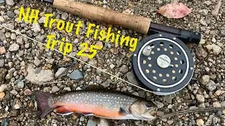 Fly Fishing for trout