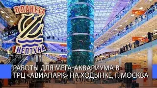 Работы для мега-аквариума в ТРЦ «Авиапарк» на Ходынке, г. Москва