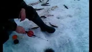 Ловля плотвы на Ладоге апрель 2012