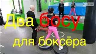 Two BOSU  balls for a boxer