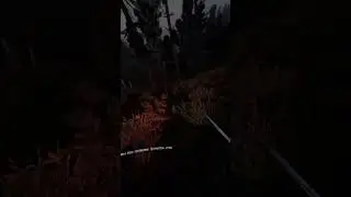 Опух S.T.A.L.K.E.R:  G.A.M.M.A. Anomaly #shorts