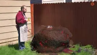 Man Tearfully Cooks Breakfast Meats On The Blazing Hot Asteroid That Landed On His Elderly Mother