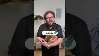 Wunderschöne Wörter auf Englisch 