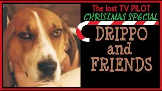 FUNNY DOG 'DRIPPO' 2001 TV Pilot FUNNY CHRISTMAS SPECIAL VIDEO #FunnyAnimals #FunnyVideos #Dogs pets