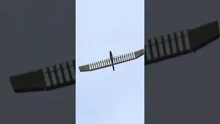XXL Nurflidl der RipplaFlidl