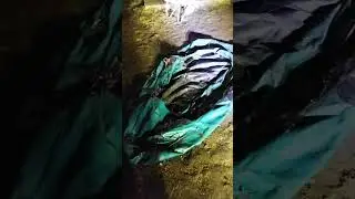 неплохая находка