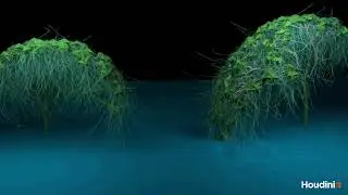 AI Houdini stream