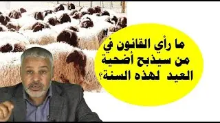 ماذا يقول القانون في من سيذبح أضحية العيد لهذه السنة 1446هـ ؟