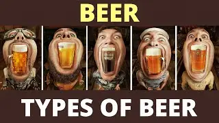 Beer | How it's Made?