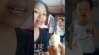 makan duren beli dari pasar
