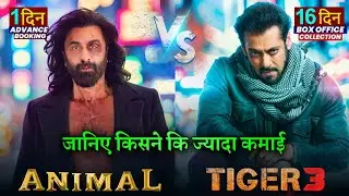 Tiger 3 Box office collection, Animal Advance Booking Collection, Salman Khan, Ranbir Kapoor, Bobby,