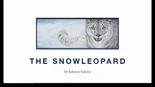 THE SNOW LEOPARD by Johann Fanzoj