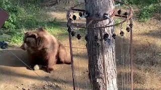 Baku Zoopark / 2022/ Heyvanlar parkı / animal zoo in Baku / Azerbaijan animals 