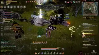 BDO Test Live