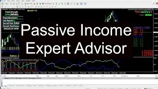 Forex Trading   Passive Income Expert Advisor Video 12