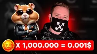 Почему ты НИКОГДА не выведешь деньги с хомяка? Правда о Hamster Kombat