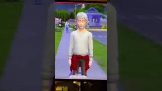 There is fary costume in game