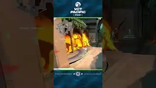 Combo 