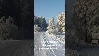Сказочный лес...