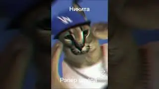 какой ты шлёпа?