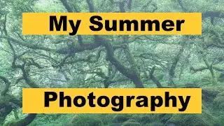 Summer Photography - A look at my most recent images