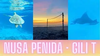 Swimming with MANTA RAYS and TURTLES in Gili T and Nusa Penida!
