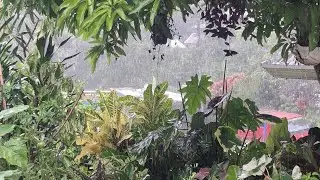 Rainy afternoon in the mountain