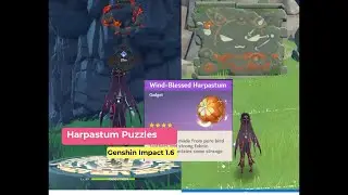 Genshin Impact 1.6 Puzzles (Wind-Blessed Harpastum)