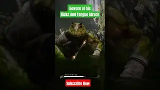 This Green Frog Kicks and Licks 🐸 #blackmythwukonggameplay #gaming #games #datdesiguy #rtx4090 #4k
