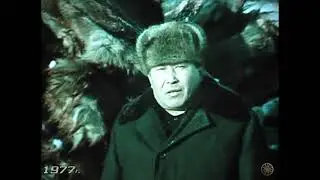 Мех сквозь слезы