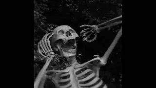 SPOOKY - Playboi Carti x Yeat x September's Rich type beat
