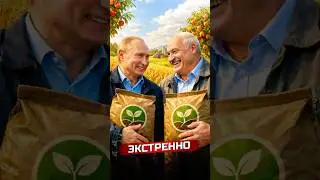 Food crisis in Europe - will Russia and Belarus help?