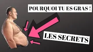 pourquoi je suis gras ?!