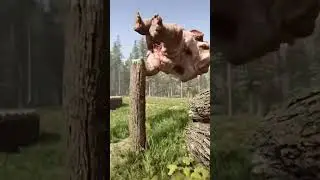Using Mutants as Logs to Build 
