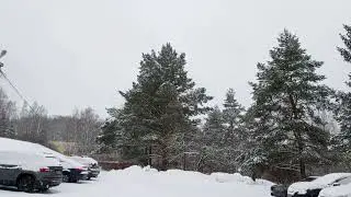 С добрым утром